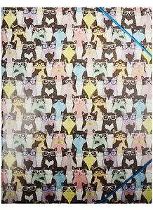 Папка на резинках А4 "Коты в очках"