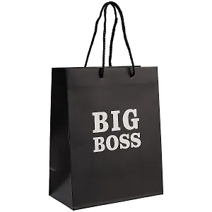 Пакет А5 23*18*10 "Big boss.Basic" нейтр., бум.мат.ламинат