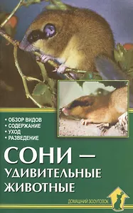 Аквар.Сони-удивительные животные