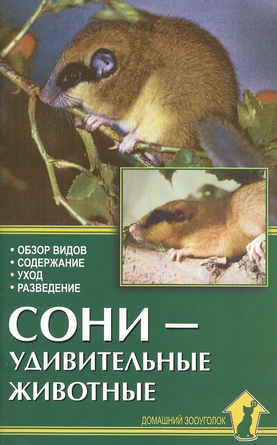 Книга Аквар.Сони-удивительные животные (Александр Рахманов) — 1