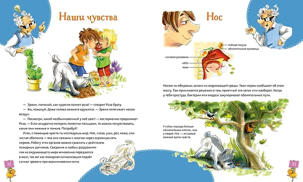 Книга Большая книга здоровья для всей семьи (Дитрих Грёнемайер) — 12