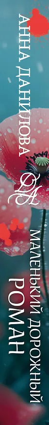 Книга Маленький дорожный роман (Анна Данилова) — 3