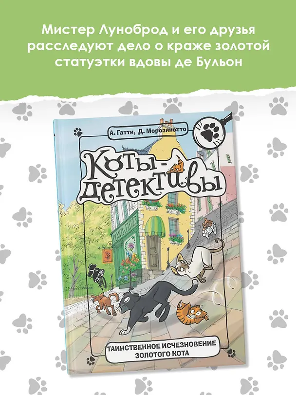 Книга Таинственное исчезновение золотого кота (Алессандро Гатти, Давиде Морозинотто) — 6