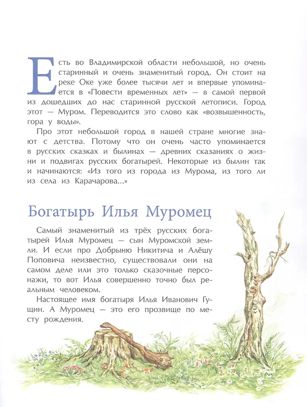 Книга Муром. Родина Ильи Муромца (Надежда Щербакова) — 2
