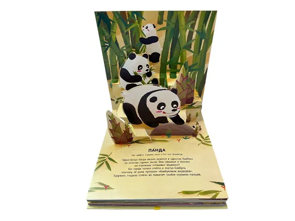 Книга Животные. Pop-up панорамка с крупными буквами () — 14