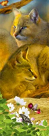 Закладка 3D (00129) (Мир открытий) 2303813