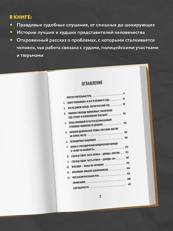 Книга Тайный адвокат. Ложные приговоры, неожиданные оправдания и другие игры в справедливость (Тайный адвокат) — 6