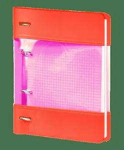 Тетрадь на кольцах в клетку InFolio, Study, 120 листов, оранжевая