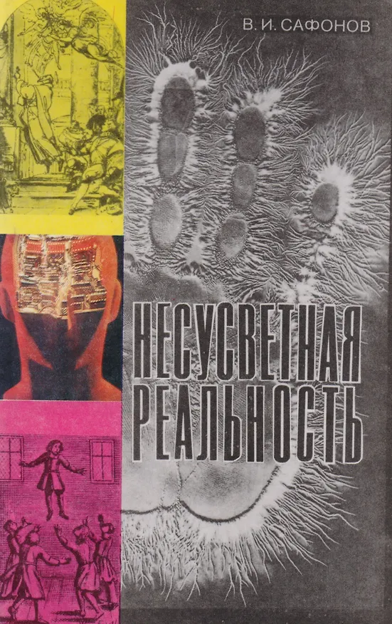 Книга Несусветная реальность (Владимир Сафонов) — 1