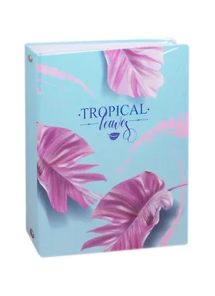 Тетрадь на кольцах в клетку Academy Style, "Монстера", 100 листов 255091