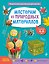 Мастерим из природных материалов — 3186339 — 1