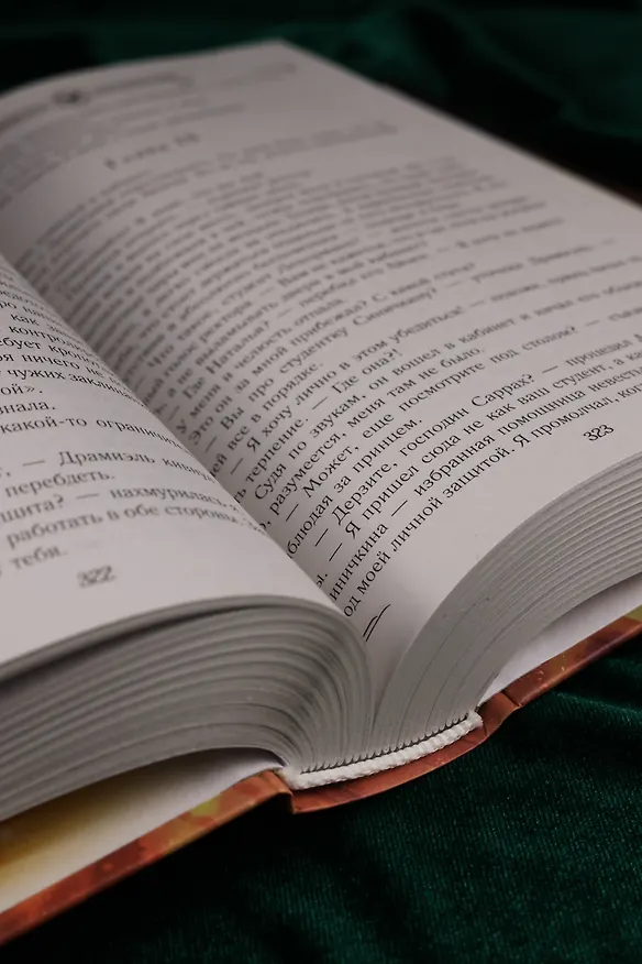 Книга Академия драконов (Алина Углицкая) — 14