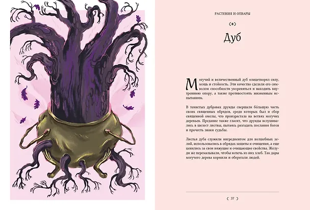 Книга Мифы и легенды кельтов (Джулия Манци) — 18