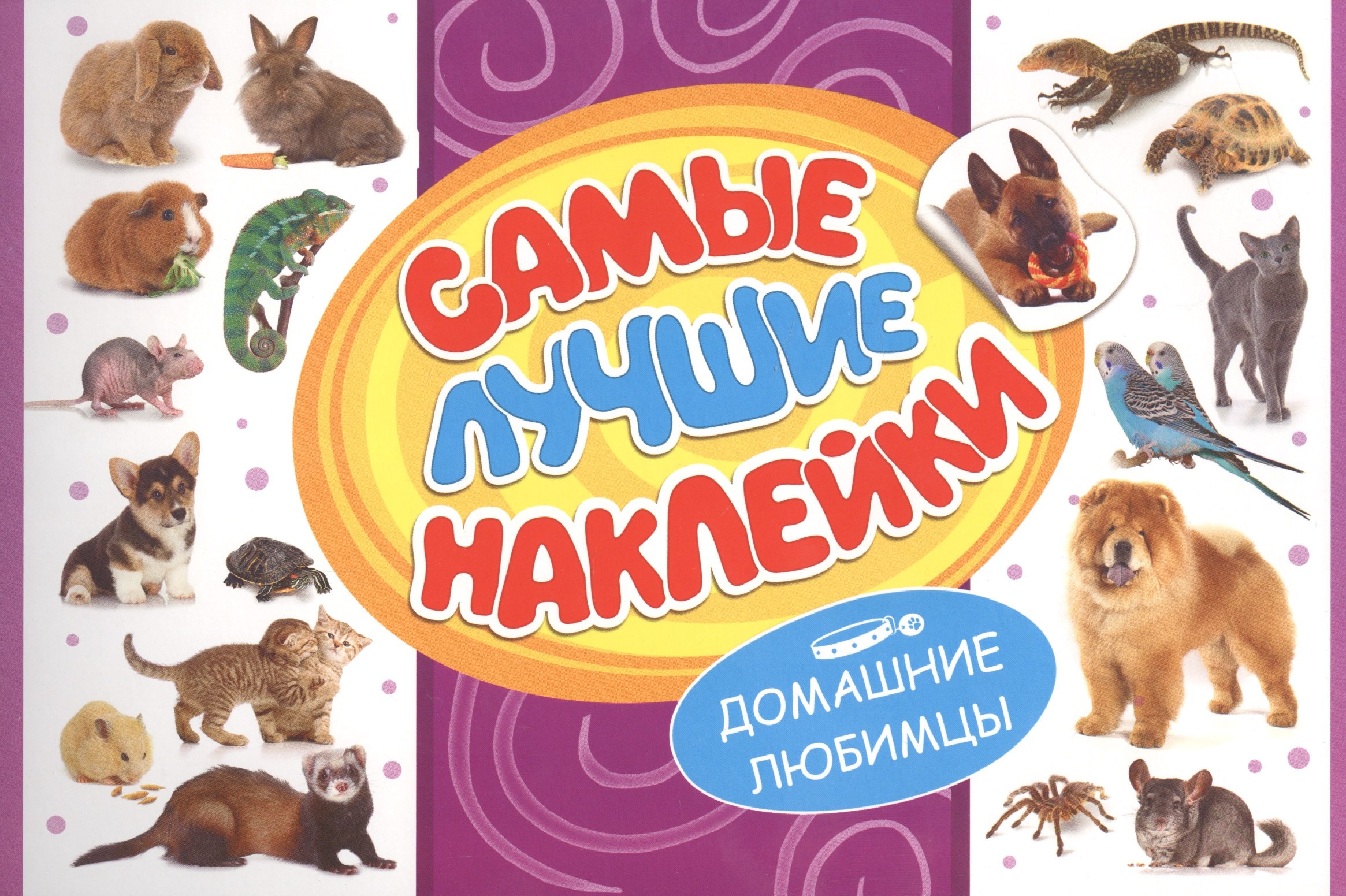 

Самые лучшие наклейки. Домашние любимцы