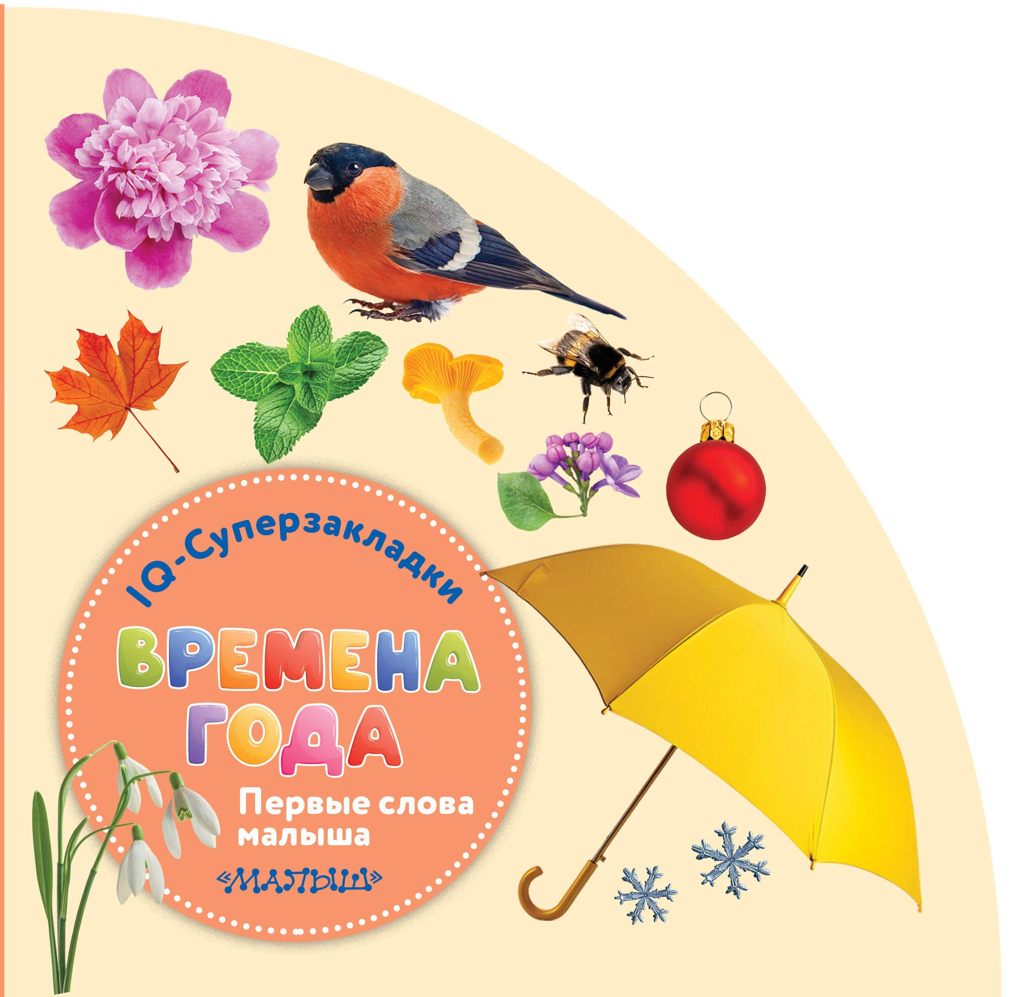 

Времена года