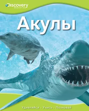 Акулы — 2454449 — 1