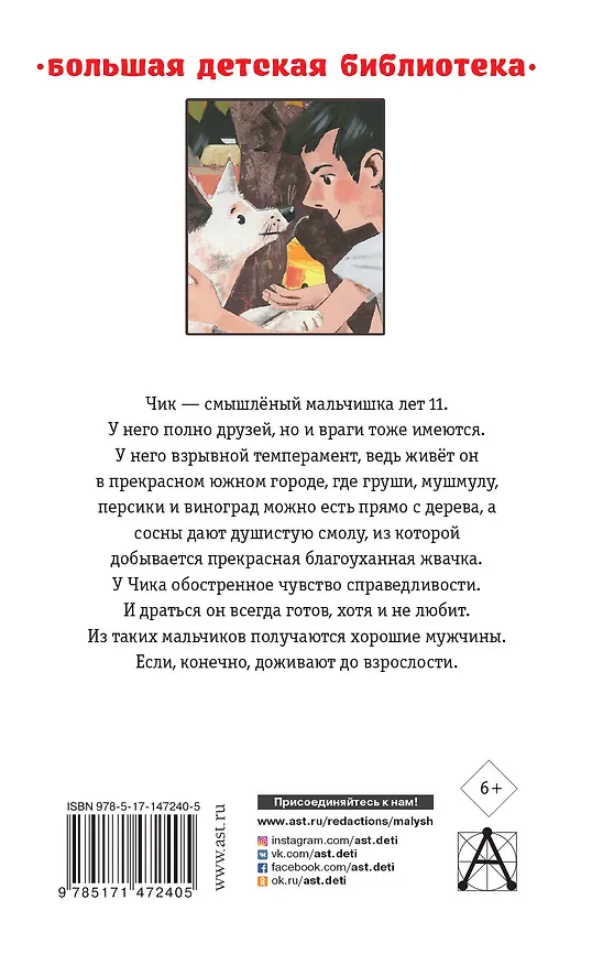 Книга Детство Чика. Рассказы (Фазиль Искандер) — 2