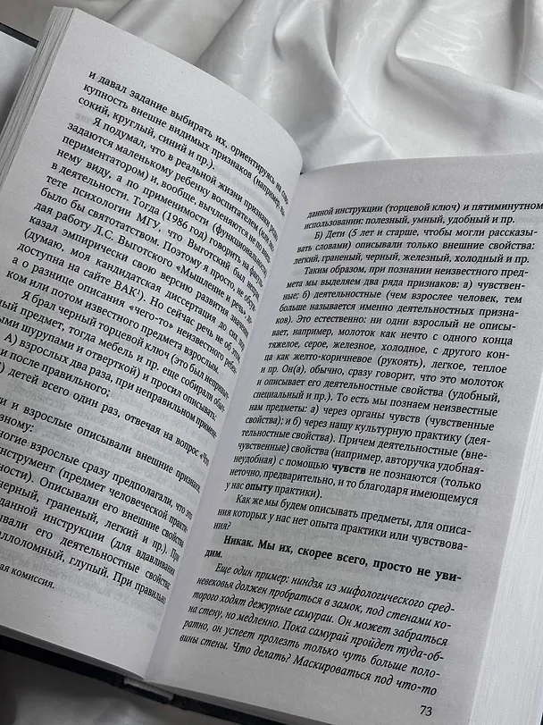 Книга Смысл Шамана (Владимир Серкин) — 11