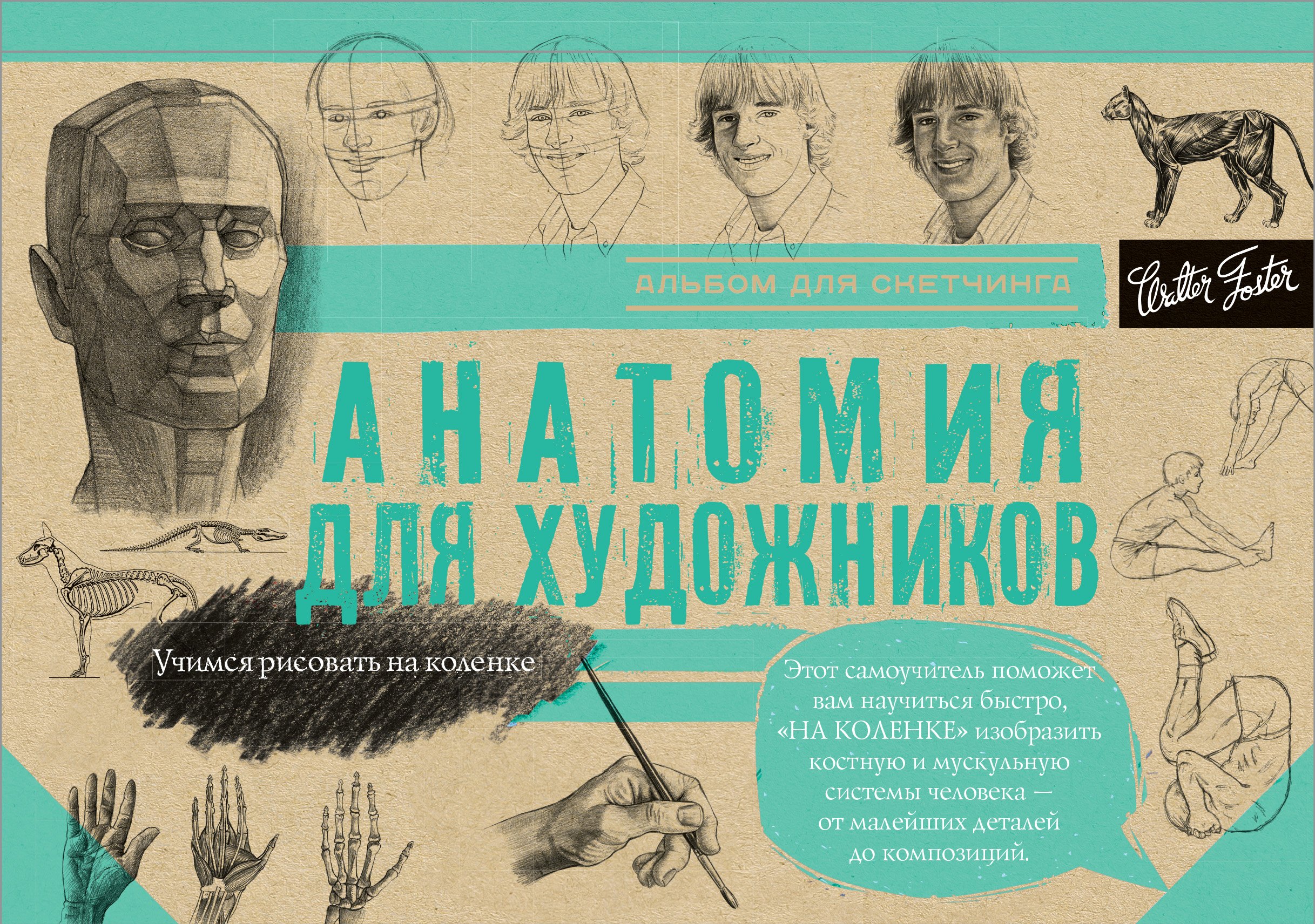 

Анатомия для художников