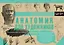 Анатомия для художников — 2677087 — 1