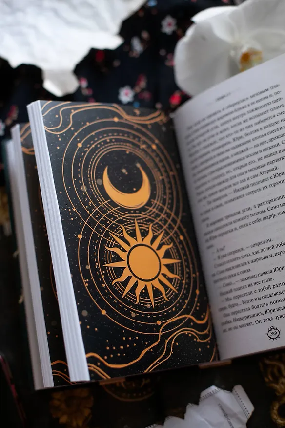 Книга Пророчество тьмы (Анви Рид) — 12