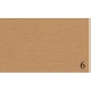 Бумага для пастели 50*65 "Tiziano" 160г/м2 №06 песочный, Fabriano