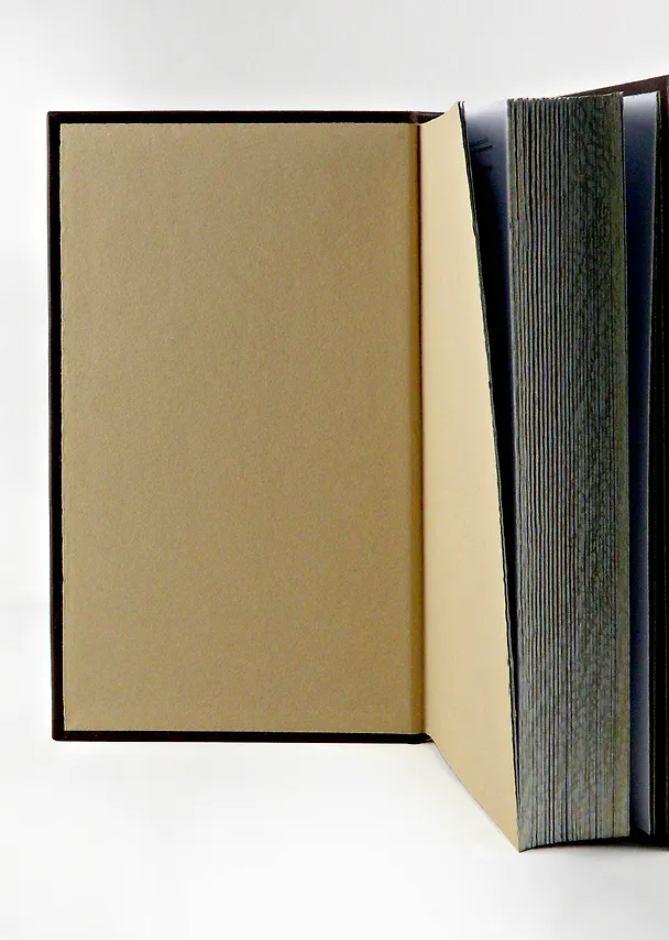 Книга "За землю русскую!". Великие полководцы мира. Коллекционное подарочное иллюстрированное издание в переплете ручной работы в военном стиле из натуральной кожи (Александр Невский) — 7