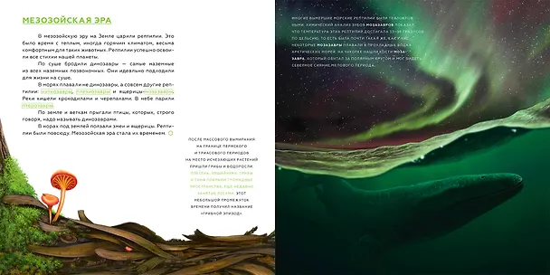 Книга История Земли: от звездной пыли к звездной пыли (Антон Нелихов) — 7