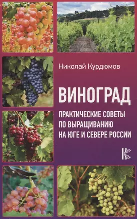 Виноград. Практические советы по выращиванию на юге и севере России — 2776882 — 1