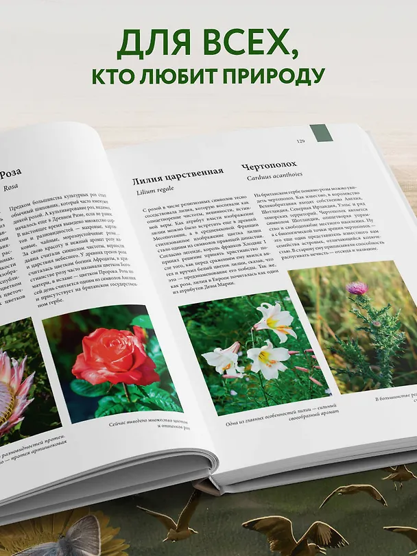 Книга Атлас Земли. Животные, растения, грибы, бактерии, минералы и другие сокровища нашей планеты (Регина Михайлова) — 9