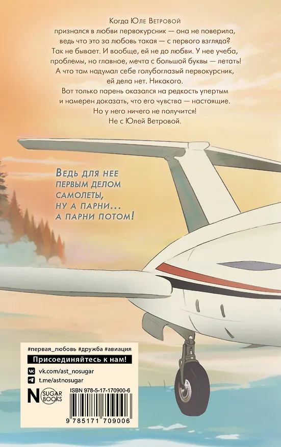 Книга Первым делом самолёты (Лада Шведова) — 2