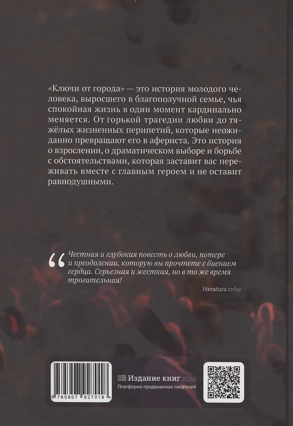 Книга Ключи от города (Иван Волков) — 2