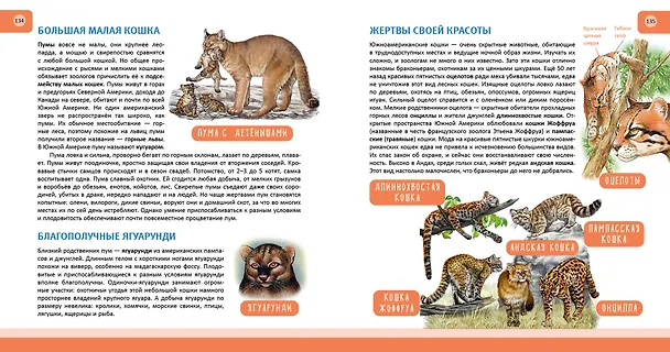 Книга Животные. Полная энциклопедия (Юлия Школьник) — 13