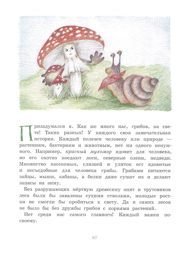 Книга Храброе семечко. Грибные истории. Познавательные сказки () — 7