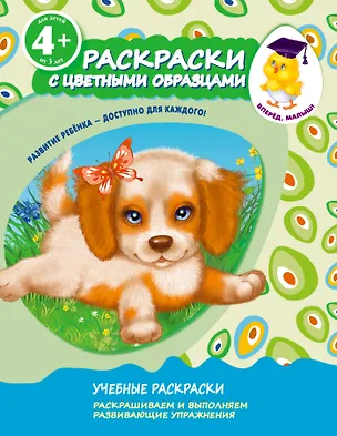 Книга Раскраски с цветными образцами. Щенок (Елена Соломатина)