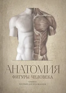 Анатомия фигуры человека. Краткое пособие для художников. Выпуск 1. Учебное пособие