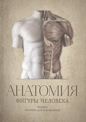 Анатомия фигуры человека. Краткое пособие для художников. Выпуск 1. Учебное пособие