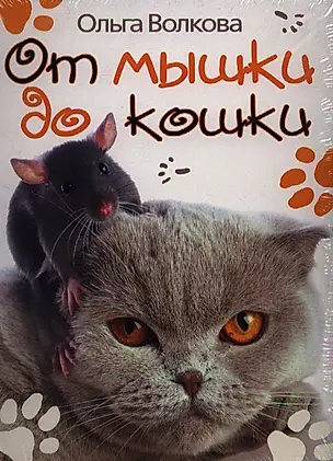 От мышки до кошки — 2221577 — 1