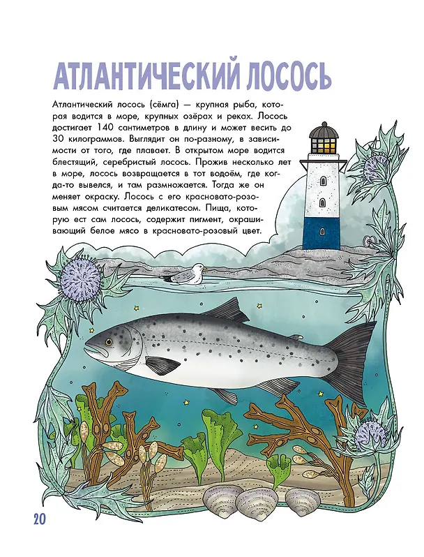 Книга Рыбы (Эмма Янссон) — 11