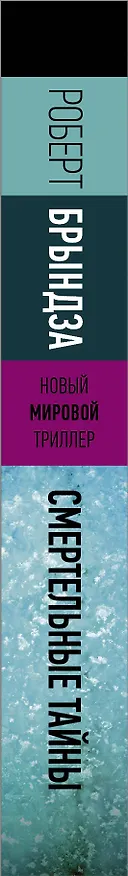 Книга Смертельные тайны (Роберт Брындза) — 4