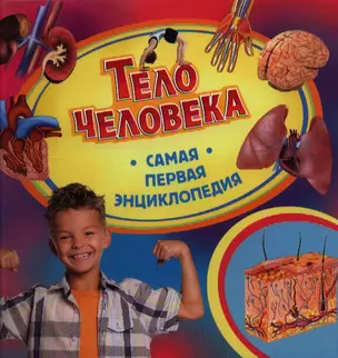 Тело человека — 2359162 — 1