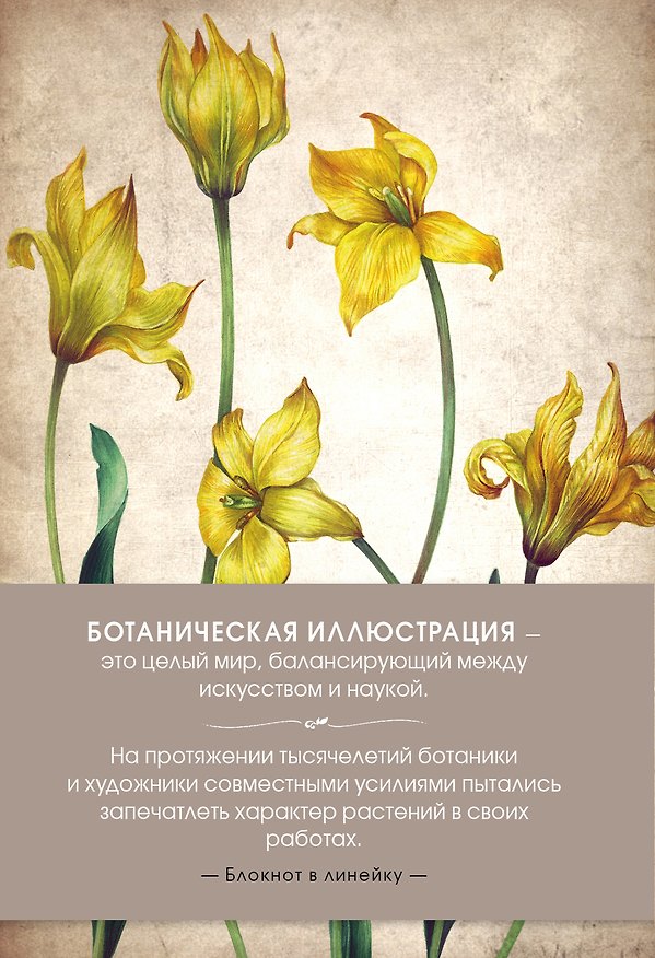 Блокнот «Ботаническая иллюстр. Зел.», Эксмо 356844 — 1