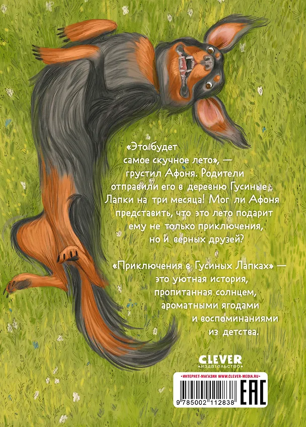 Книга Приключения в Гусиных Лапках (Андрей Снесарь) — 2