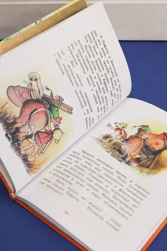 Книга Тафити и великий пожар (Юлия Бёме) — 13
