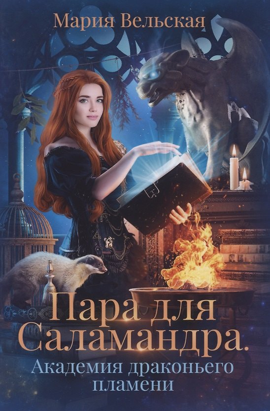 Книга Пара для Саламандра. Академия драконьего пламени (Мария Вельская) — 1
