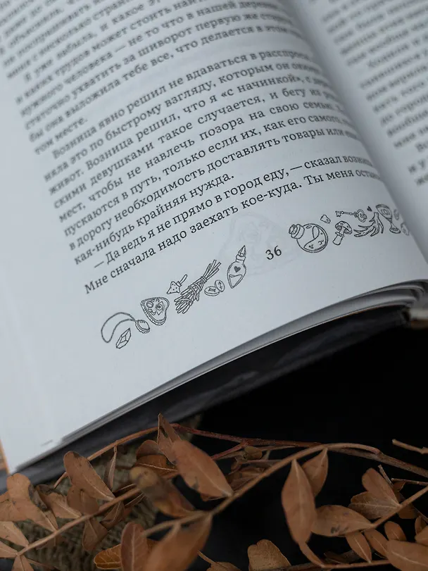 Книга Там, где крадут сердца (Андреа Имз) — 9