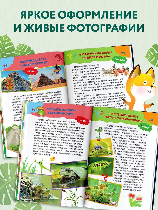 Книга А правда, что... (Владимир Малов, Андрей Косенкин, Павел Бобков) — 7