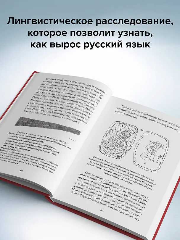 Книга Зри в корень! Из чего "растут" слова, или Как верблюд оказался слоном, а букет — лесом? (Светлана Скучилина) — 10