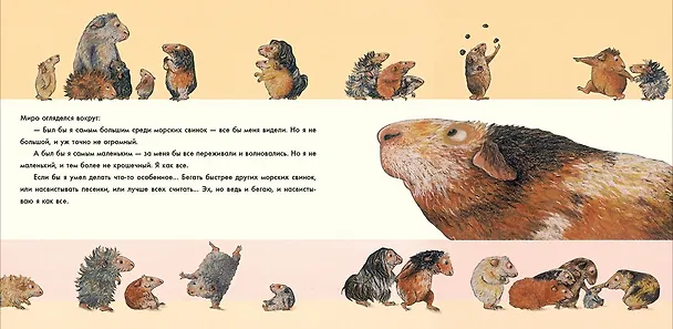 Книга Лучше всех? (Лоренц Паули) — 3