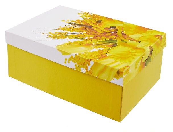 Коробка подарочная "Мимоза" 28,5*18,5*12см, , картон 3032617 — 1